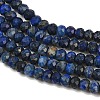 Natural Lapis Lazuli Beads Strands G-L587-B03-02-9