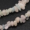 Chips Natural Colorful Morganite Beads Strands G-N0164-59-2