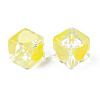 Transparent Acrylic Beads TACR-T004-10F-2