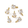 Rack Plating Brass Micro Pave Cubic Zirconia Charms LS-KK-H449-46G-1