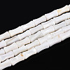 Natural Freshwater Shell Beads Strands SHEL-N038-02-1