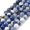 Natural Sodalite Round Bead Strands G-E334-8mm-08-4