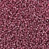 MIYUKI Delica Beads X-SEED-J020-DB0428-3