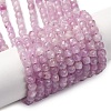 Natural Kunzite Beads Strands G-P587-C01-01-2