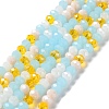 Glass Beads Strands EGLA-A034-M8mm-52-1