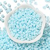 3/0 Glass Seed Beads X1-SEED-L011-03A-05-2