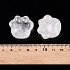 Natural Quartz Crystal Cat Paw Print Figurines DJEW-N003-03J-4