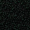 MIYUKI Round Rocailles Beads X-SEED-G008-RR0156F-3
