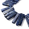 Natural Sodalite Beads Strands G-L551B-16-3