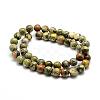 Natural Rhyolite Jasper Bead Strands G-G684-01-10mm-2