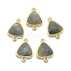 Natural Labradorite Links connectors G-O177-16E-G-1