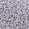 MIYUKI Delica Beads X-SEED-J020-DB0429-3