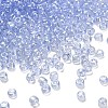 Transparent Colours Glass Seed Beads SEED-H004-01F-1