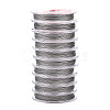 Non-Tarnish Tiger Tail Wire TWIR-N004-0.4mm-P-1