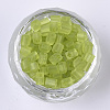 6/0 Transparent Glass Seed Beads SEED-S027-04B-05-2