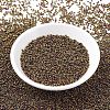 MIYUKI Round Rocailles Beads X-SEED-G007-RR0462-2
