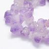 Natural Amethyst Beads Strands G-P322-09-3