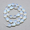 Opalite Bead Strands X-G-T004-22-2