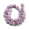 Natural Phosphosiderite Beads Strands G-D475-01M-2