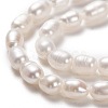 Natural Cultured Freshwater Pearl Beads Strands PEAR-L033-62-01-2