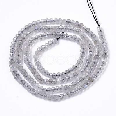 Natural Labradorite Beads Strands G-R462-019-1