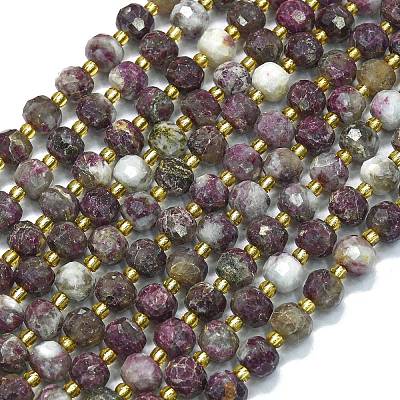 Natural Plum Blossom Tourmaline Beads Strands G-K389-E87-01-1