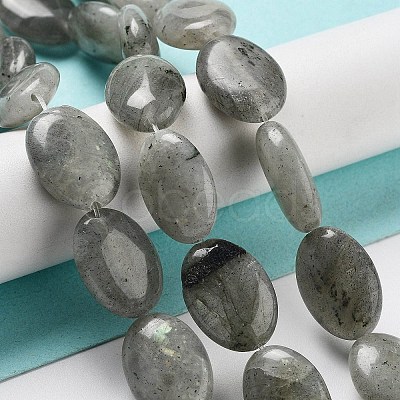 Natural Labradorite Beads Strands G-P528-M10-01-1