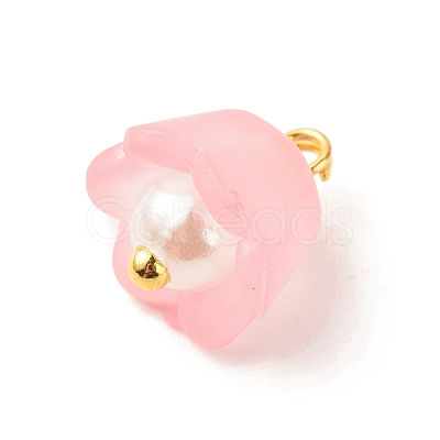 Transparent Acrylic Charms PALLOY-JF01603-01-1