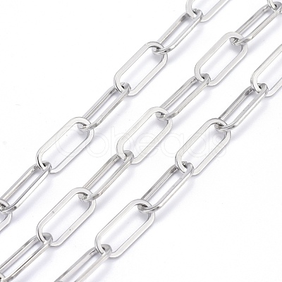 Non-Tarnish 3.28 Feet 304 Stainless Steel Paperclip Chains X-CHS-F011-01A--P-1
