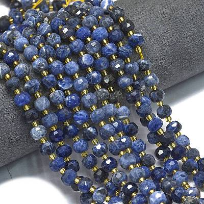Natural Sodalite Beads Strands G-K389-E74-01B-1