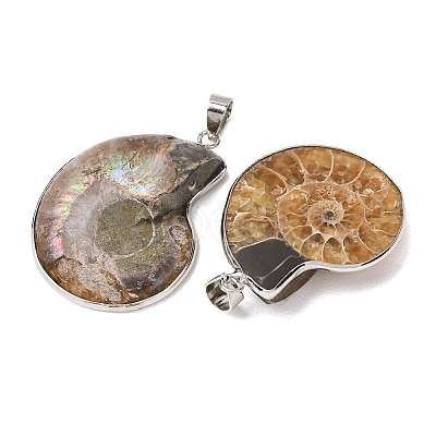Snail Fossil Pendants G-D051-1-1