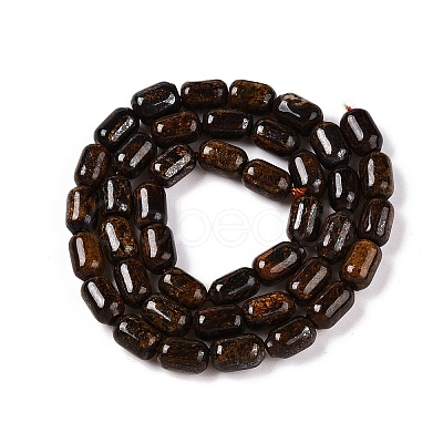 Natural Bronzite Beads Strands G-G980-42A-1