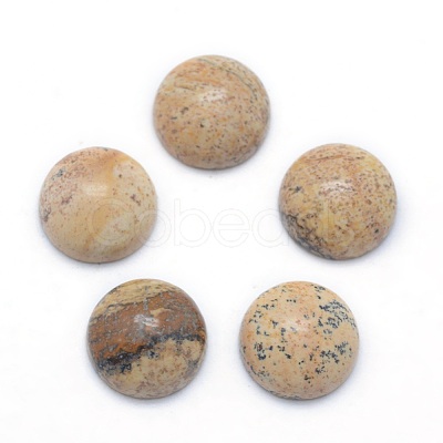 Natural Picture Jasper Cabochons G-P393-R51-8MM-1