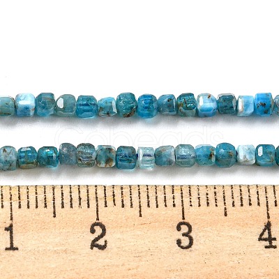 Natural Apatite Beads Strands G-P457-B01-14-1