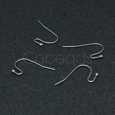 Tarnish Resistant 304 Stainless Steel Earring Hooks STAS-G140-73P-1