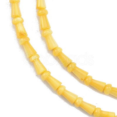 Natural Freshwater Shell Beads Strands SHEL-G013-02H-1