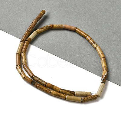 Natural Picture Jasper Beads Strands G-D464-20-1