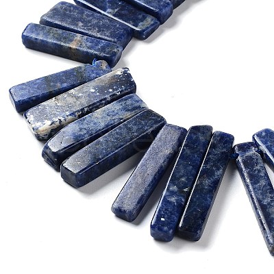 Natural Sodalite Beads Strands G-L551B-16-1