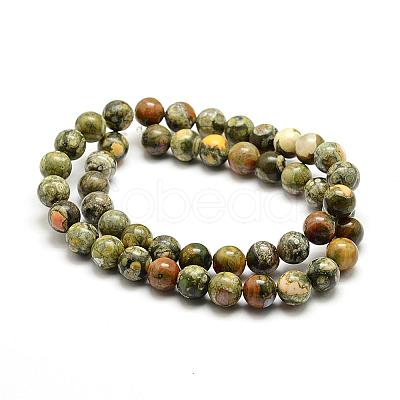 Natural Rhyolite Jasper Bead Strands G-G684-01-10mm-1
