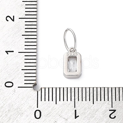 925 Sterling Silver Cubic Zirconia Charms STER-NH0014-01P-04-1