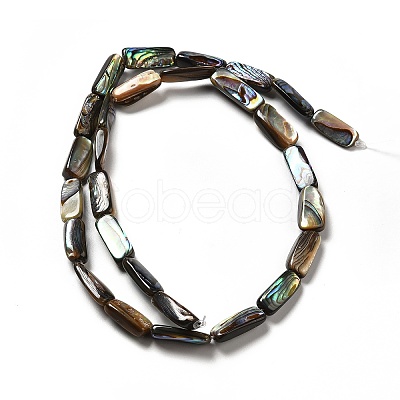 Natural Paua Shell Beads Strands SHEL-G014-09-1