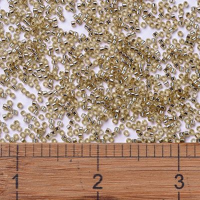 MIYUKI Delica Beads X-SEED-J020-DB2155-1