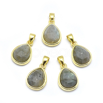 Natural Labradorite Pendants LS-G-O176J-07G-1