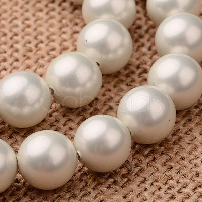 Polished Round Grade A Shell Pearl Bead Strands BSHE-M027-12mm-27-1