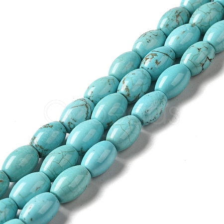 Natural Howlite Beads Strands G-C025-08-1