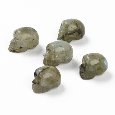Natural Labradorite Beads G-B003-08-1