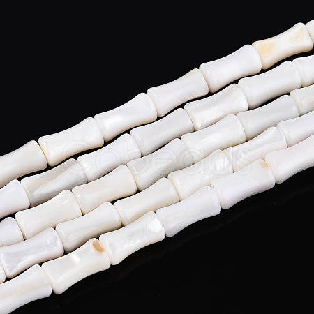 Natural Freshwater Shell Beads Strands SHEL-N038-02-1