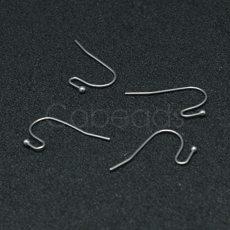Tarnish Resistant 304 Stainless Steel Earring Hooks STAS-G140-73P-1