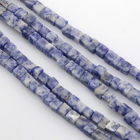 Cube Natural Blue Spot Jasper Beads Strands G-P057-05-1