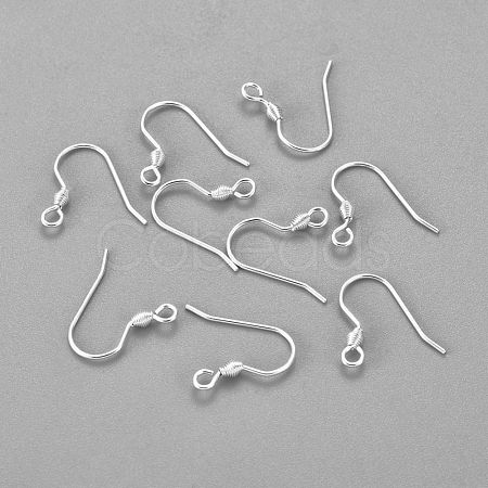 304 Stainless Steel Earring Hooks STAS-H436-04S-1
